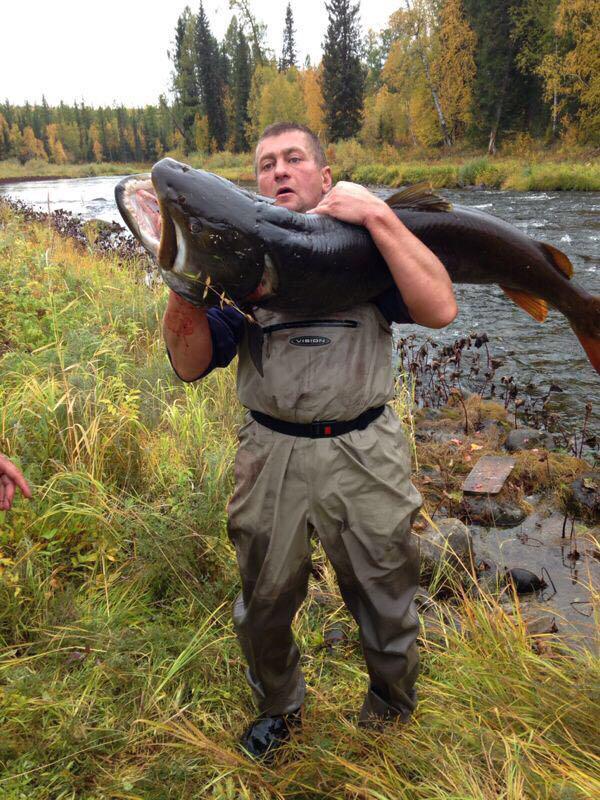 Рыбалка на тайменя в Сибири
